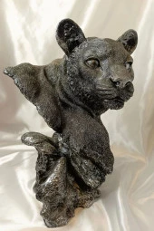 Aslan Kaplan Jaguar Biblo thumbnail 8