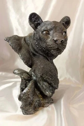 Aslan Kaplan Jaguar Biblo thumbnail 9