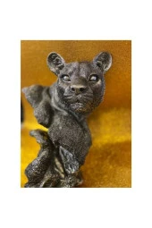 Aslan Kaplan Jaguar Biblo thumbnail 10