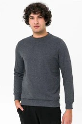 Süvari O Yaka Gri Sweat thumbnail 3