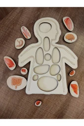 Renkli Organlar Puzzle thumbnail 2