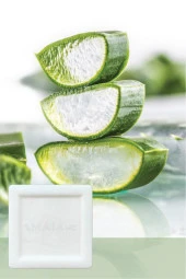Aloe Vera Sabunu 150 gr thumbnail 2