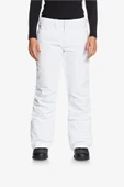 Roxy Backyard PT Kadın Beyaz Snowboard Pantolonu thumbnail 2