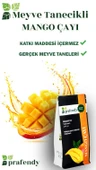 PRAFENDY MANGO ÇAYI -GERÇEK MEYVE TANELİ 250 GR thumbnail 3