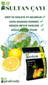 PRAFENDY SULTAN ÇAYI - GERÇEK MEYVE TANELİ 1000 GR thumbnail 3