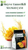 PRAFENDY MANGO ÇAYI - GERÇEK MEYVE TANELİ 1000 GR thumbnail 3
