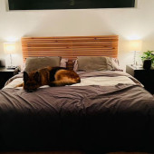 Ahşap Yatak Başlığı 250 cm x 60 cm thumbnail 4