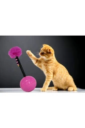 Hacıyatmaz Kedi Oyuncağı - Pembe thumbnail 1
