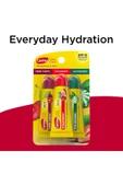 Carmex Moisturizing Lip Balm 3 Tubes thumbnail 1