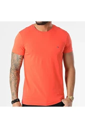 Basic T-shirt Stretch Slım Fıt Tee thumbnail 4