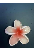 LOTUS ÇİÇEĞİ MANDAL TOKA thumbnail 11