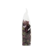 Ekinezya Çiçeği Tomurcuk thumbnail 2