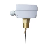 Eatec FS1 Flow Switch 1'' Akış Anahtarı Şalteri thumbnail 1