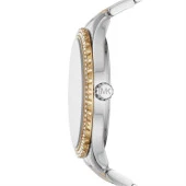 Michael Kors MK6899 Kadın Kol Saati thumbnail 2