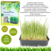Gardenmix Kedi Çimi thumbnail 2