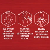 Old Spice Duş Jeli Whıtewater 3'ü 1 Arada 400 ml thumbnail 4