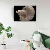 Siyam Balığı Kanvas Tablo 50 x 70 thumbnail 2