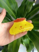 Sanrio Hello Kitty Kemik Mandal Toka thumbnail 5