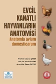 Evcil Kanatlı Hayvanların Anatomisi thumbnail 2