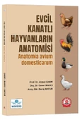 Evcil Kanatlı Hayvanların Anatomisi thumbnail 1