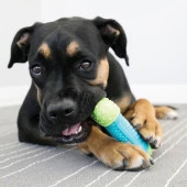 Kong Core Strength Köpek Çiğneme Oyuncağı 6cm thumbnail 3
