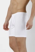 DoReMi Erkek Arjantin Boxer thumbnail 4
