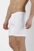 DoReMi Erkek Arjantin Boxer thumbnail 1