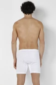 DoReMi Erkek Arjantin Boxer thumbnail 3