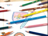 Bic Kids Evolution Kuru Boya 12'Li Metal Kutu thumbnail 6