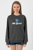 Mr Beast Füme Kadın 2ip Sweatshirt thumbnail 1