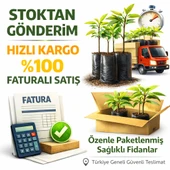 Bankon Soğan Tohumu (2 gram) thumbnail 2