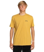 Billabong C1SS65BIP2 Arch Wave Erkek Tişört thumbnail 1