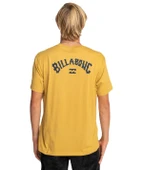 Billabong C1SS65BIP2 Arch Wave Erkek Tişört thumbnail 5