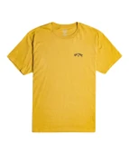 Billabong C1SS65BIP2 Arch Wave Erkek Tişört thumbnail 2