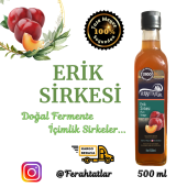 Erik Sirkesi thumbnail 2