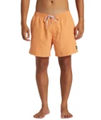 Quiksilver AQYJV03153 Everyday Solid Volley 15 Erkek Şort Mayo thumbnail 2