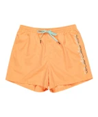 Quiksilver EQYJV04061 Behind Waves Erkek Şort Mayo thumbnail 5