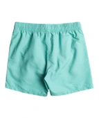 Billabong EBYJV00134 All Day Lb Erkek Şort Mayo thumbnail 3