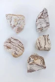Zebra Jasper Doğal Kütle-31-ZJ thumbnail 2