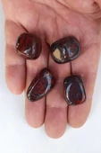 50 Gram Iron Jasper Tamburlu Parçalar 646 thumbnail 1