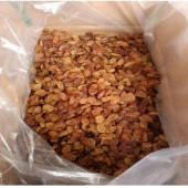 TEMEL ÇEKİRDEKSİZ KURU ÜZÜM BEYAZ 5 KG thumbnail 2