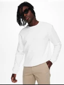 ONLY & SONS Erkek Chino Şort 22018237 thumbnail 6