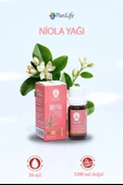 PANLIFE NİOLİ YAĞI 10 ML thumbnail 1