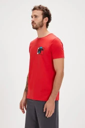 BAD BEAR GRIZZLE ERKEK T-SHIRT thumbnail 5