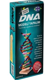Dna Modeli Yapalım Deney Seti thumbnail 3
