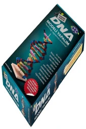 Dna Modeli Yapalım Deney Seti thumbnail 4