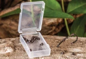 Extra Carp Rig Ring Stops thumbnail 1