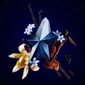 Thierry Mugler Angel Elixir Refillable EDP 100 ml Kadın Parfümü thumbnail 4