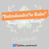 Dalındandut Doğal Dut Kurusu 1000GR thumbnail 3