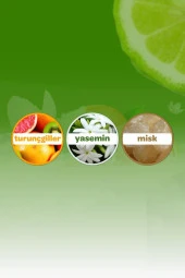 Dalin Kolonya Orman Esintisi 150 ml thumbnail 3